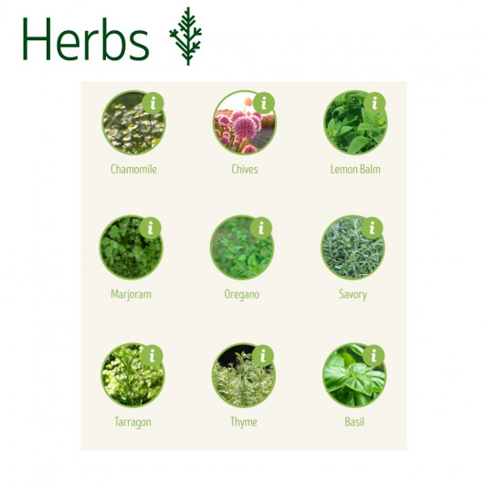 Seedstick Bookmarks Herbs